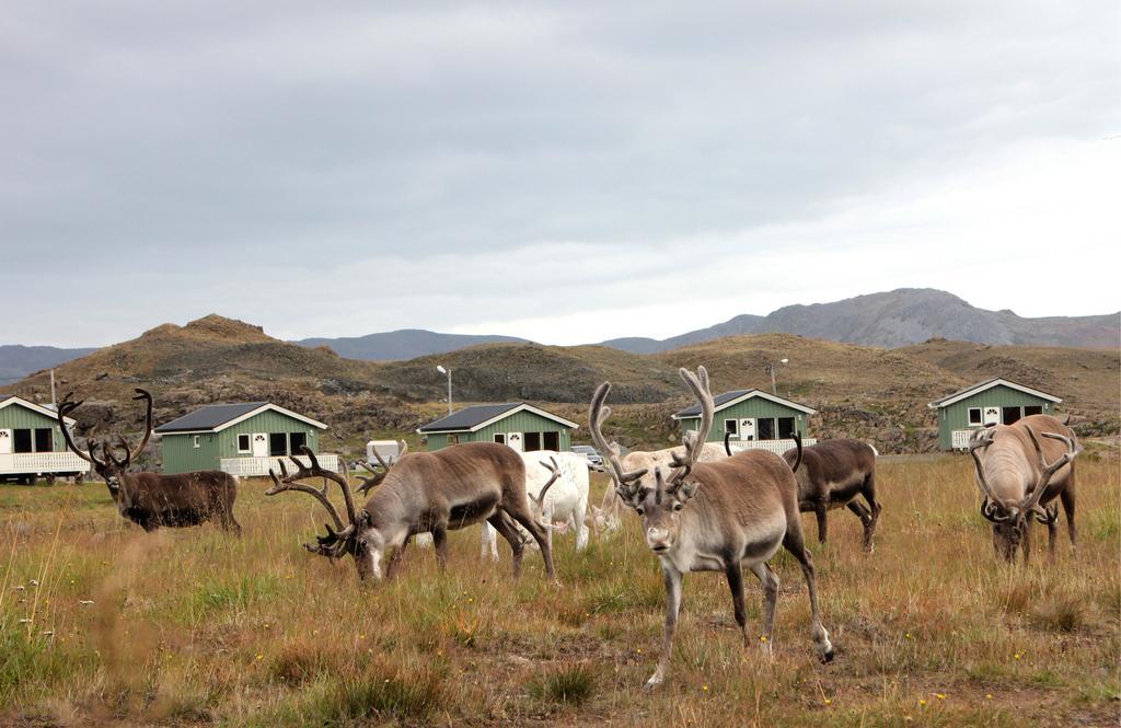 Nordkapp Camping Honningsvåg Chambre photo